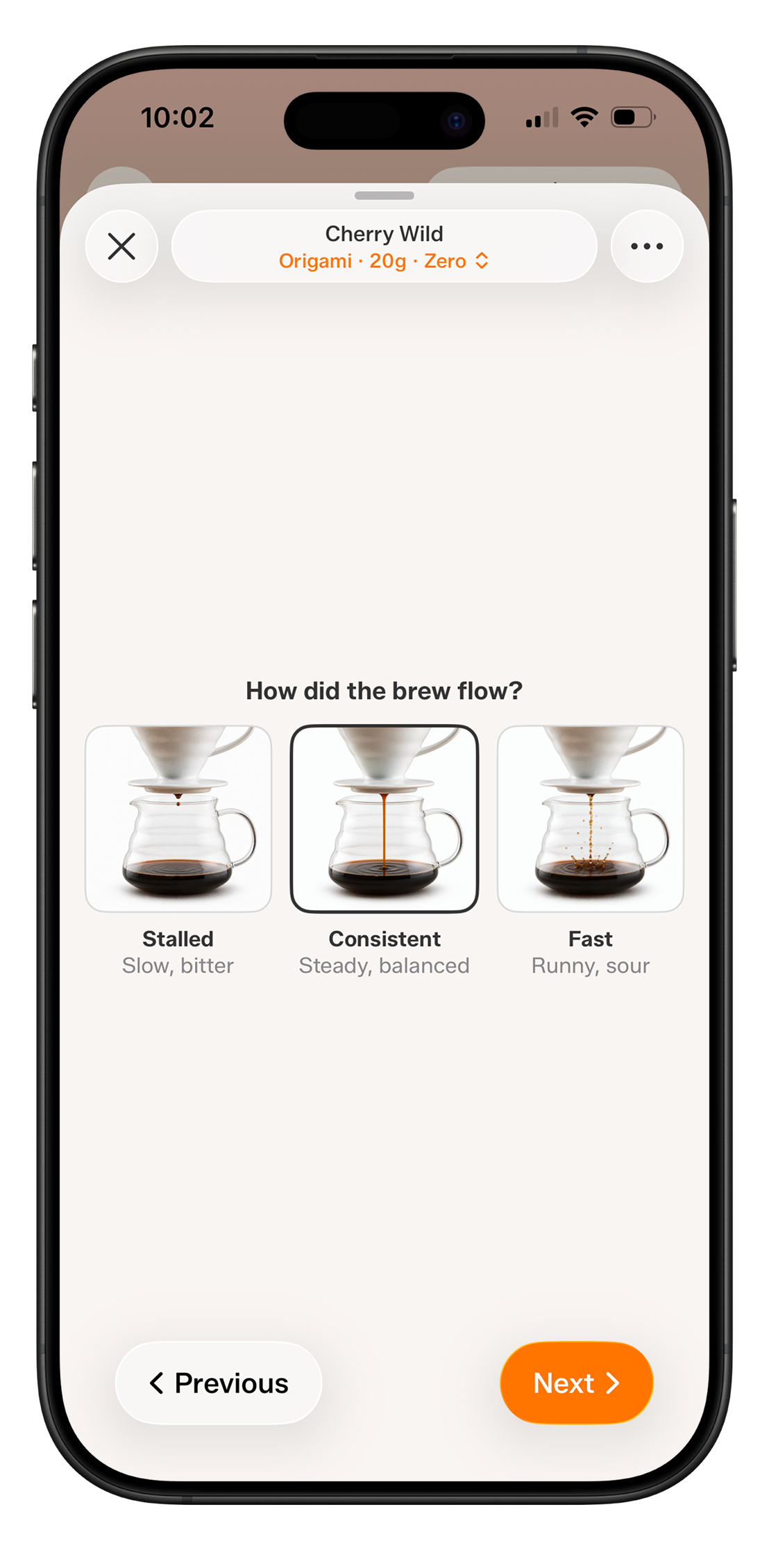 Guided dial-in asking how the pour-over flowed: stalled, consistent, or fast